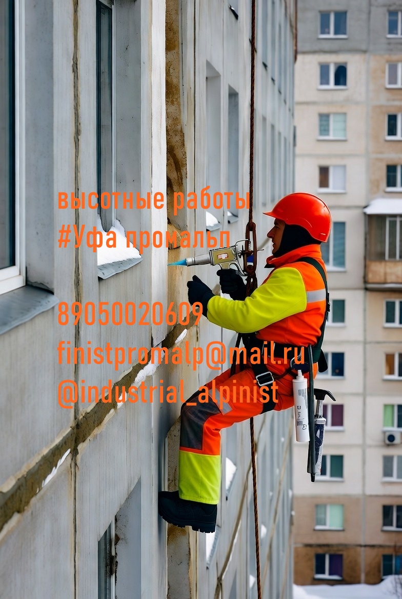 Uborkasnegaufa0036