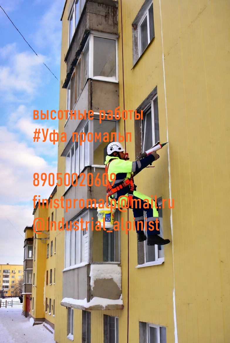 Uborkasnegaufa0037