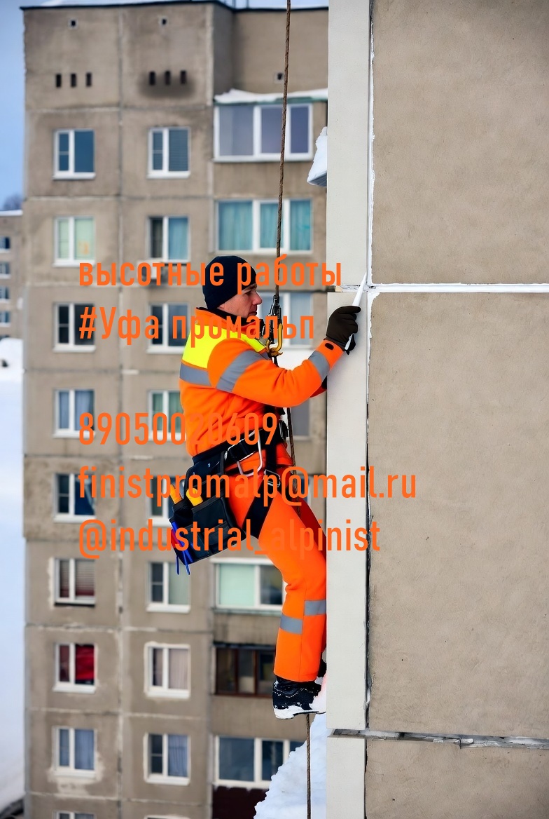 Uborkasnegaufa0041