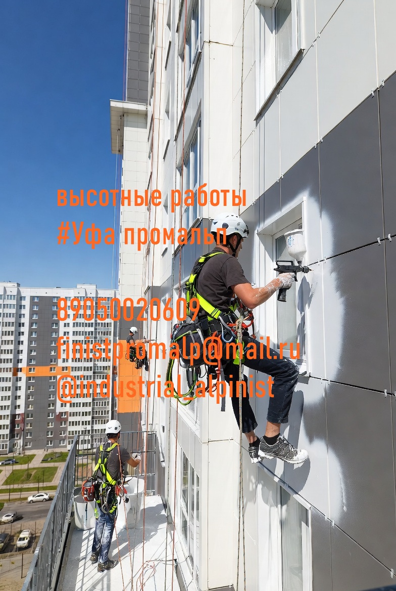 Uborkasnegaufa0050