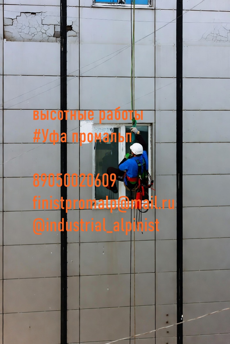 Uborkasnegaufa0085