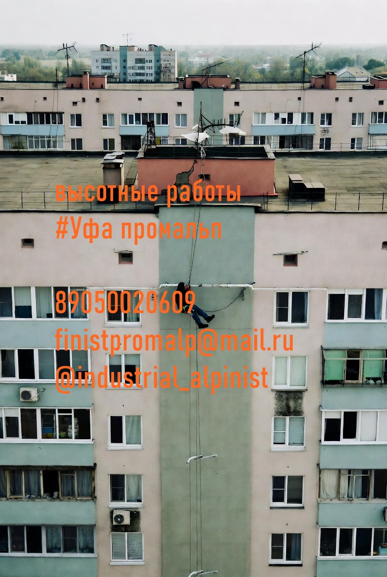 Uborkasnegaufa0093