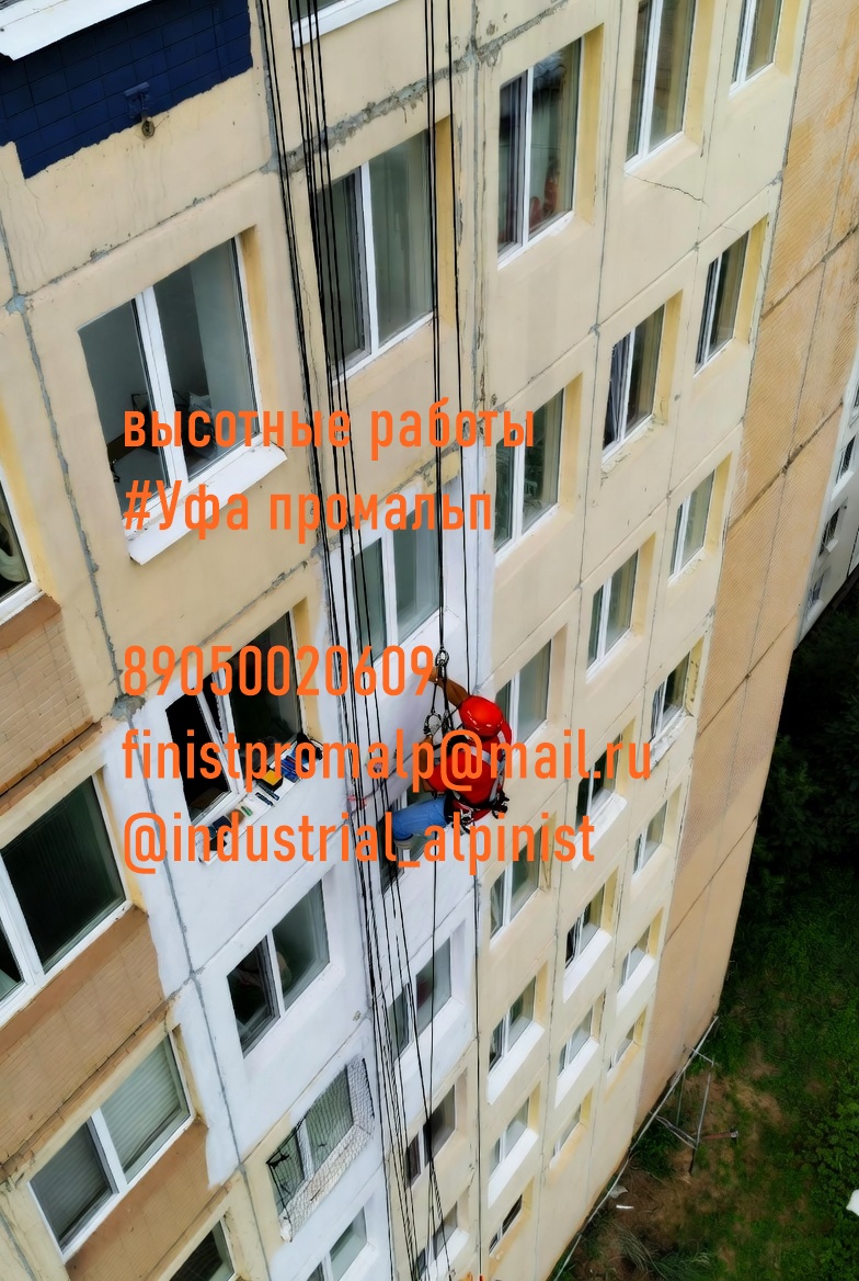 Uborkasnegaufa0094